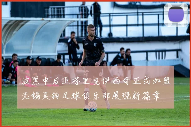 波黑中后卫塔里克伊西奇正式加盟无锡吴钩足球俱乐部展现新篇章