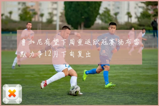 鲁加尼有望下周重返欧冠赛场布雷默力争12月下旬复出