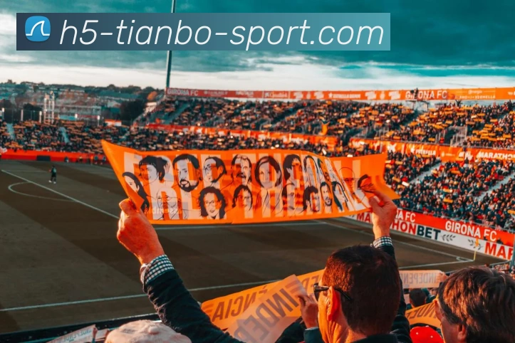 多媒体互动体验